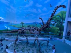 -辽宁古生物博物馆