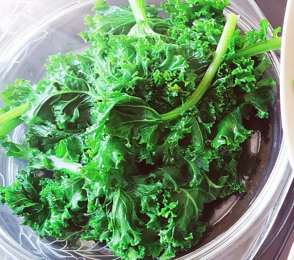 辛苦养育的羽衣橄榄菜色如碧玉味微苦