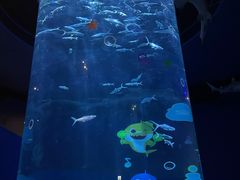 -香港海洋公园