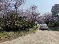-胜华驾校·小猫学车(银都店)