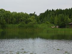 -溱湖国家湿地公园