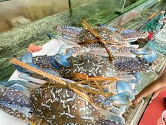 -金生美食(贵州路店)