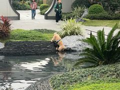 -武胜段记猪肝面(卓锦城店)