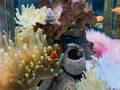 -太平洋海底世界