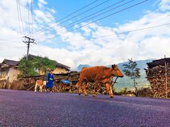 -硗碛藏寨·神木垒景区