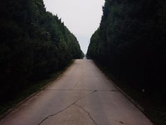 -秦始皇帝陵博物院-丽山园