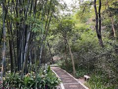 -广州市白云山风景名胜区