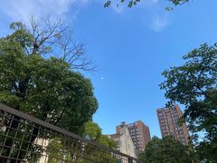 -小女当家·现炒简餐(绿地新都会店)