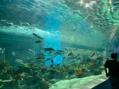 -常州海昌海洋探索馆