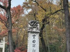 -灵谷景区