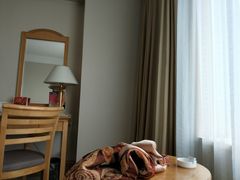 -南京维景国际大酒店(南京博物院店)