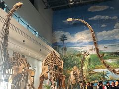 -自贡恐龙博物馆
