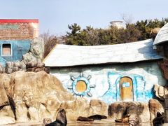 -大连老虎滩海洋公园