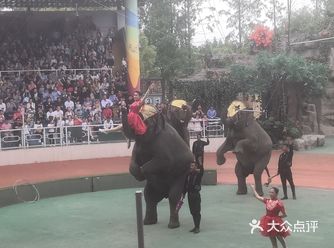 当看到训马员在坐高难度动作时