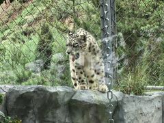 -青藏高原野生动物园