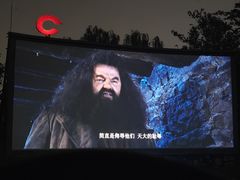 -枫花园汽车电影院(朝阳公园店)