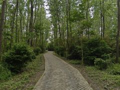 -溱湖国家湿地公园