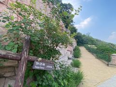 -北京西山国家森林公园