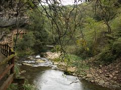 -黎坪国家森林公园