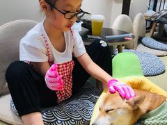 -逗柴咖啡屋·狗咖猫咖宠物桌游