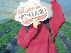 -菲尔雪CAKE(九方店)