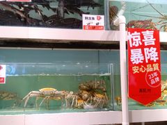 -万龙洲海鲜(大兴绿地缤纷城店)