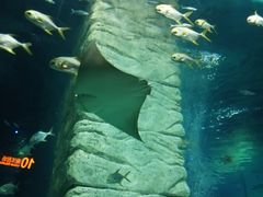 -正佳极地海洋世界