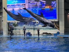 -合肥海洋世界