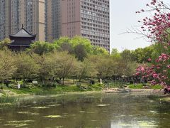 -堤角公园