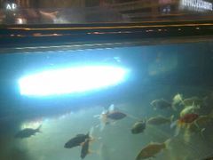 android_upload_pic-中影国际影城(兰生大厦CINITY LED店)