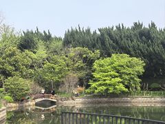 -嘉定紫藤园