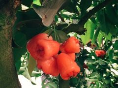 -南通洲际绿博园