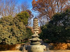-灵谷景区