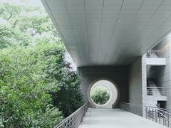-苏州大学(天赐庄校区)