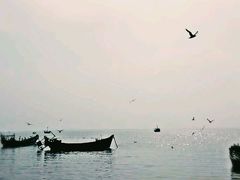 -西中岛海滨
