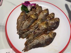 -磁州卤面·地标邯郸菜(97年创始店)