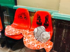 -猫咪博物馆(顶澳仔猫街店)