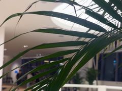 -YCHL FIT 健身(星寰店)