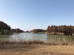 -苏州太湖国家湿地公园
