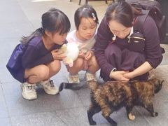 -嘉善老市