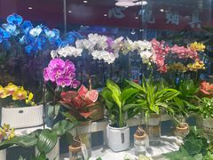 -怡花宜木鲜花店(朝阳路店)