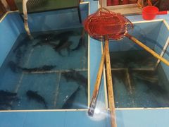 -金明姬铁锅炖(东坝店)