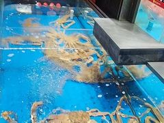 -炊江南·上海菜(国展华漕店)