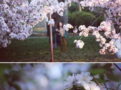 -海棠花溪(元大都城垣遗址公园)