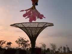 -白石龙音乐公园