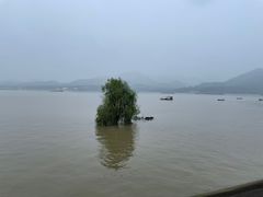 -钱塘江