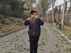-丰台花园