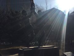 -中央音乐学院歌剧音乐厅