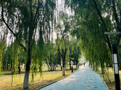 -青龙湖公园