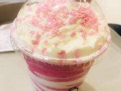 -飞行喵MR PILOT|猫舍·猫咖(静安大融城店)